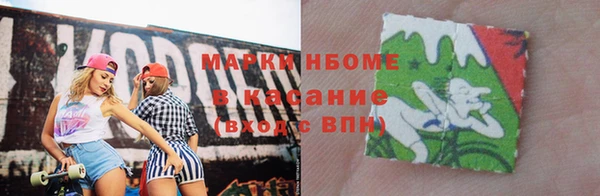 гашик Краснослободск
