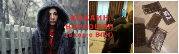 стаф Коряжма