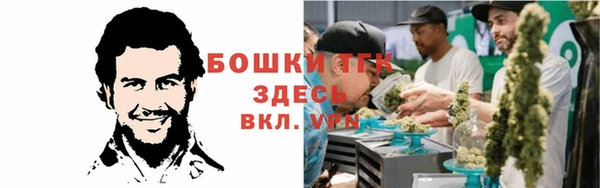 стаф Коряжма