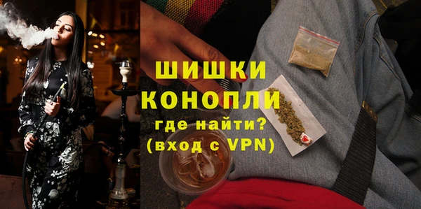 гашик Краснослободск