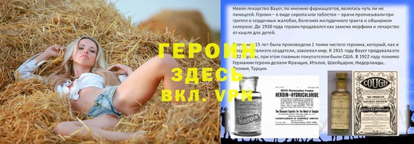 гашик Краснослободск
