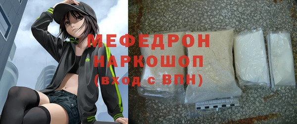 гашик Краснослободск