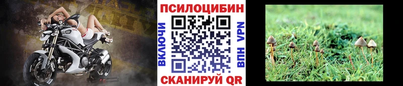 Псилоцибиновые грибы GOLDEN TEACHER  Бийск 